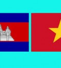 Cam-VN flag