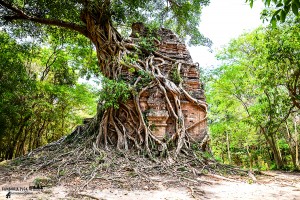 Prasat Sambor Prei Kuk