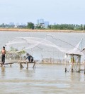 The closed fishing season is set to begin early June this year. KT/Pann Rachana