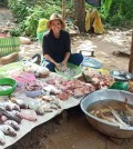 Fish seller in Kampong Cham province. Moeun Chhean Nariddh