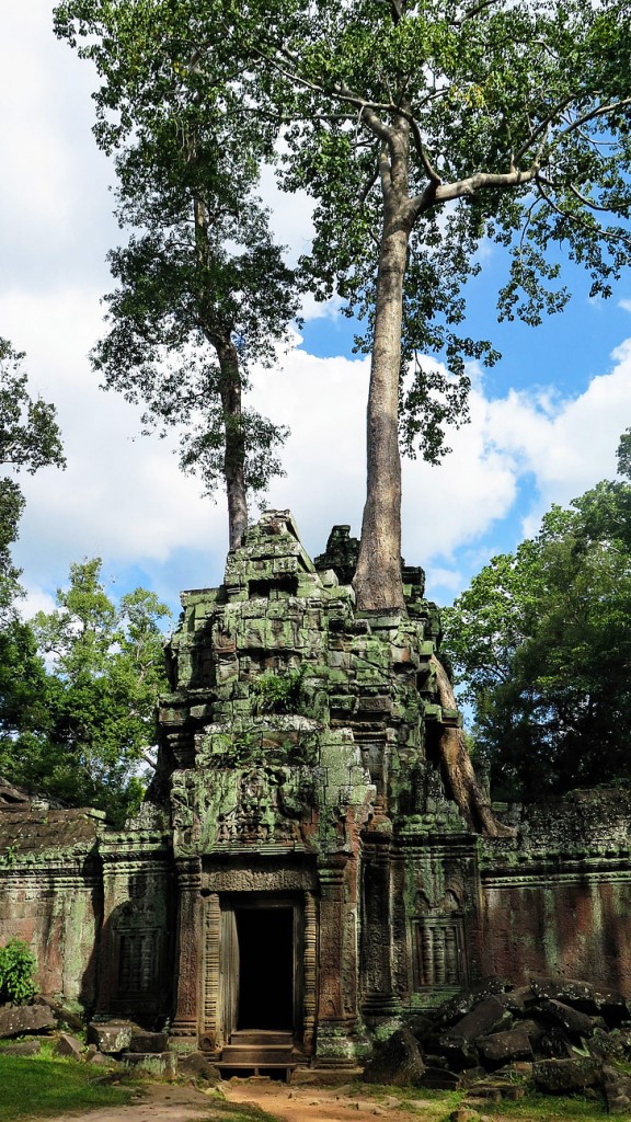 cambodia-angkor-temple-ta-prohm-preview