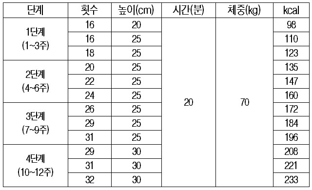 계단오르기 12주 프로그램 설계