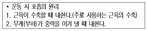 운동과 혈압2