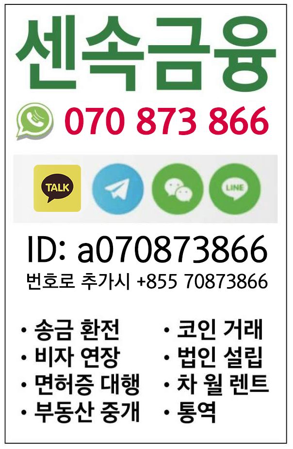 센속금융 최신