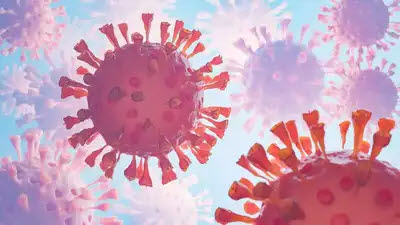 2025-07-05-H5N1 d¦£d¦æ 8ÿ¼fò¦ 12d¦ê8º+