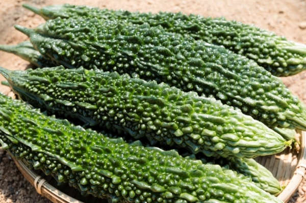 여주2