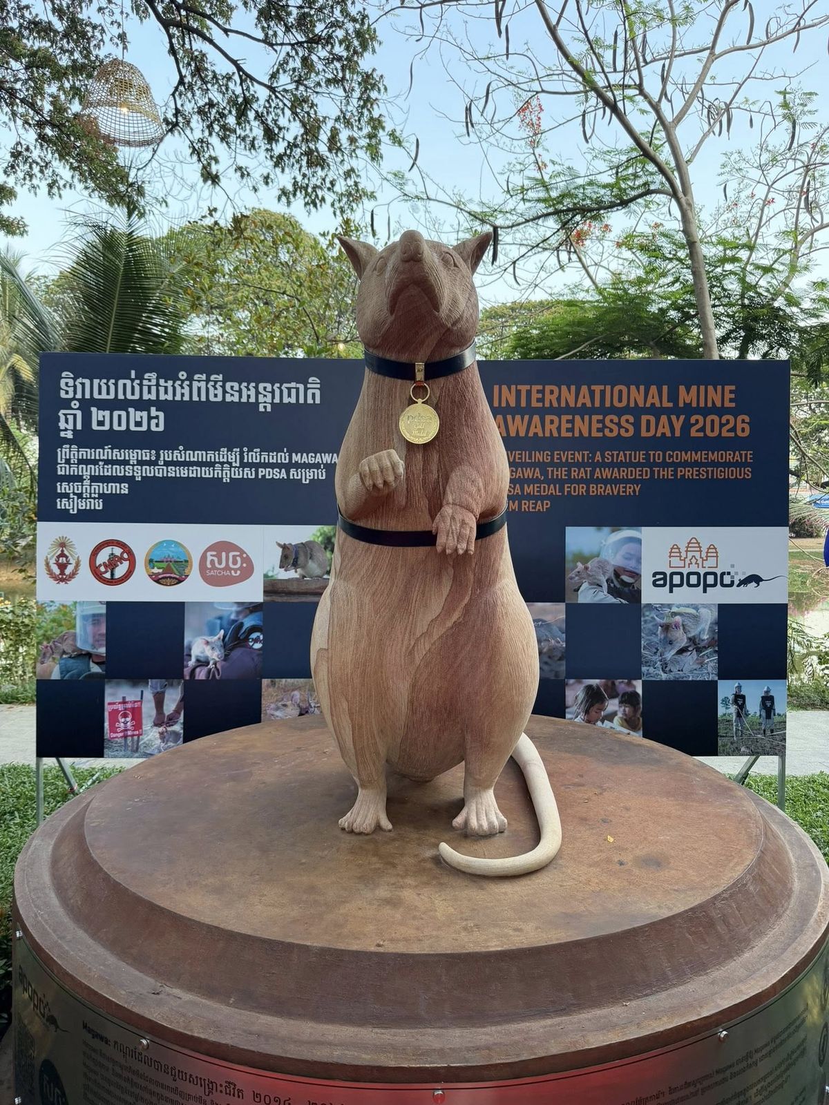 663136085_1339364284879837_2244879799348496335_n_1775283350